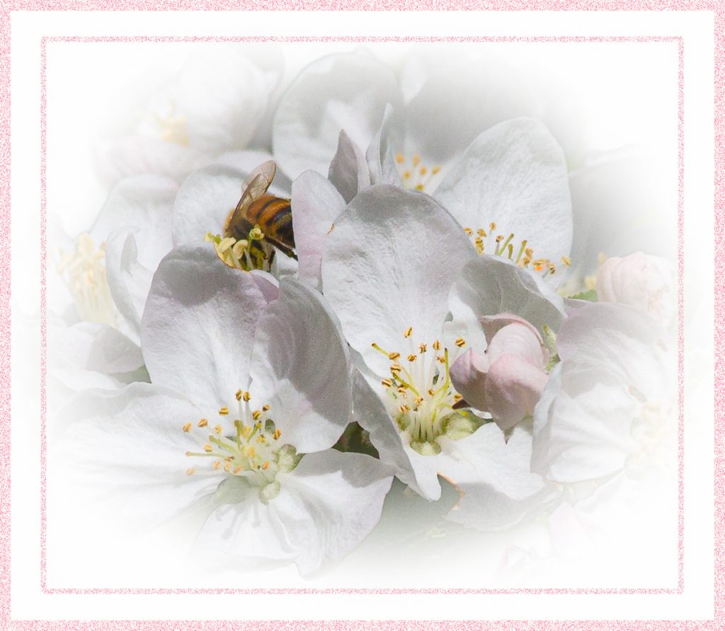 Digging Deep - Judy Lanier